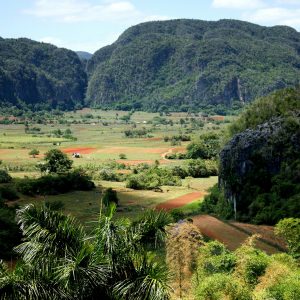 Les itinéraires pour réussir un road trip en voiture à Cuba