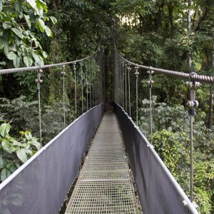 Quelques activités fascinantes à faire pendant un voyage à Costa Rica