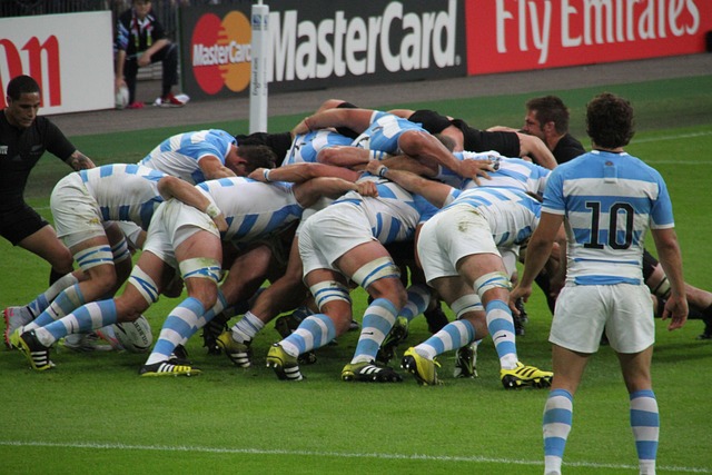 Les polos de rugby : Un symbole de style et de fierté pour les supporters