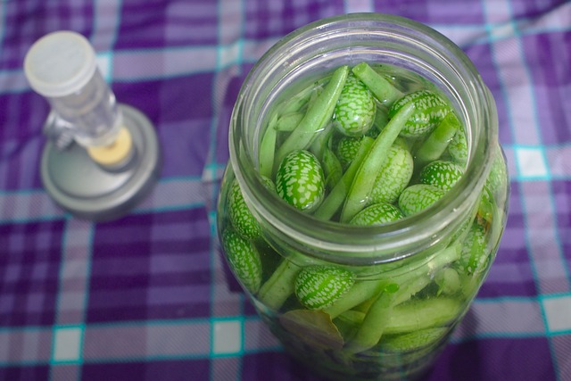 fermentation maison