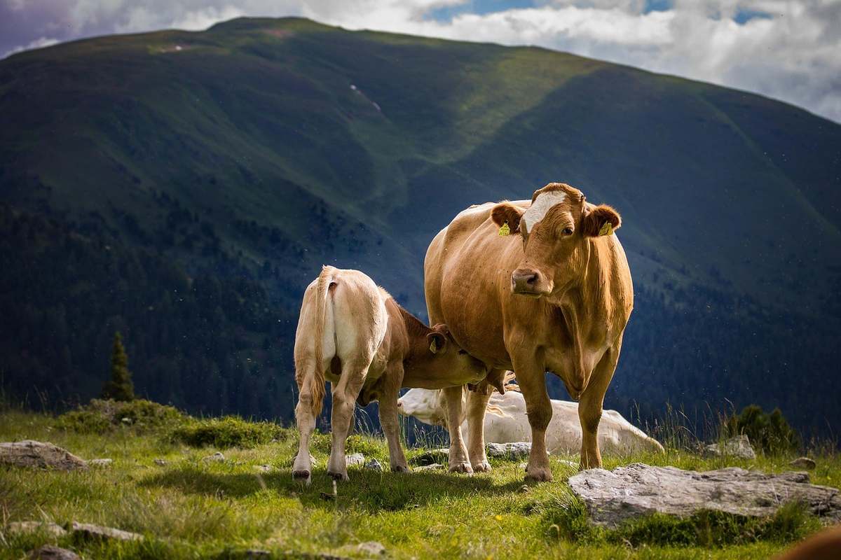 Village montagnard authentique pour éviter les stations surpeuplées