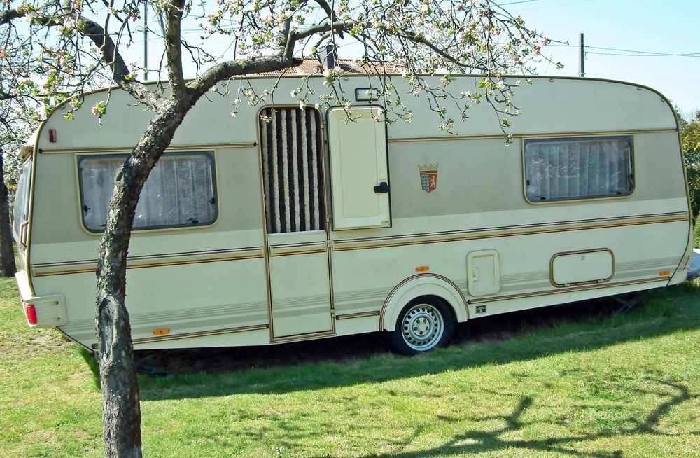 Caravane beige posée sur pelouse arbre à feuilles ciel bleu